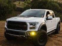 Squadron 2.0 Pro/S2 Sae Pro Fog Pocket Light Kit Ford 2017-20 F-150 Raptor Baja Designs