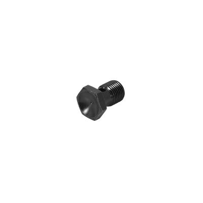 Adjustable Fuel Pressure Regulator Banjo Bolt Banjo Bolt AEM Electronics