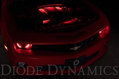 RGBW Engine Bay Strip Kit 4pc Multicolor Diode Dynamics