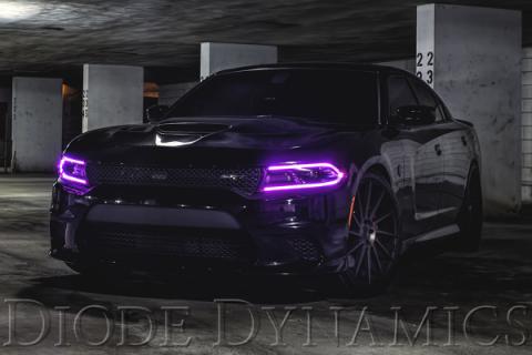 2015-2018 Dodge Charger RGBW DRL LED Boards Diode Dynamics