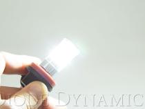 H11 HP48 LED Cool White Pair Diode Dynamics