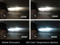 HID Bulb D2R 8000K Pair Diode Dynamics