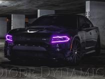 2015-2018 Dodge Charger RGBW DRL LED Boards Diode Dynamics
