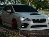 C-Light Switchback LED Boards for 2015-2021 Subaru WRX/STi