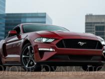 Elite Series Combination Fog Lamp for 18-21 Ford Mustang Cool White Pair Diode Dynamics