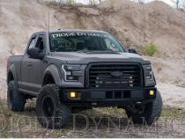 SS3 LED Fog Light Kit for 2015-2020 Ford F-150 White SAE Fog Max w/ Backlight Diode Dynamics