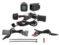 Hitch Mount LED Pod Reverse Kit for Ford F-150 2015-2020, C1R Diode Dynamics