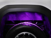 RGBW Rock Light Installer Magnet Mount Kit w/Controller (8-pack) Diode Dynamics