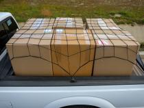 Bungee Pickup Truck Cargo Net Short Bed Bullring