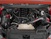 Cold Air Intake 15-20 F-150 5.0L Rough Country