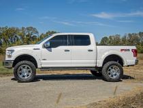 Ford Oval Nerf Step Bars 15-Up F-150 SuperCrew Cab Rough Country