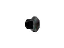 High Volume Fuel Rail Port Plug -6 (9/16 in.-18) AEM Electronics