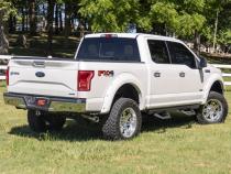 SRX2 Adjustable Aluminum Step Crew Cab 15-22 Ford F-150/17-22 Super Duty Rough Country